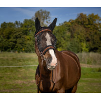 Masque anti-mouches Equithème Training Masque anti-mouches Equithème Training