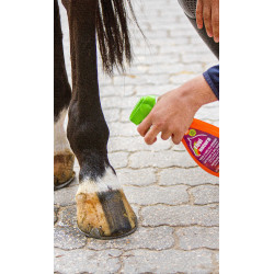 Nettoyant pelage express Equinatura