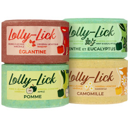 Pierre à sel Hippotonic Lolly-Lick