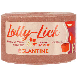 Pierre à sel Hippotonic Lolly-Lick Églantine