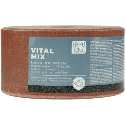 Pierre à sel Hippotonic Vitalmix