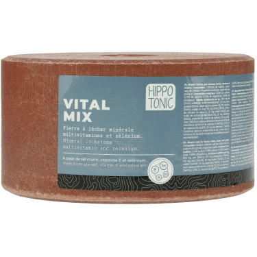 Pierre à sel Hippotonic Vitalmix Pierre à sel Hippotonic Vitalmix