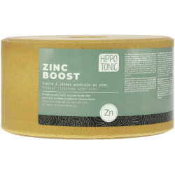 Pierre à sel Hippotonic Zinc boost