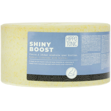 Pierre à sel Hippotonic Shiny boost Pierre à sel Hippotonic Shiny boost