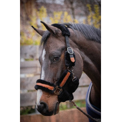Licol Pénélope Soft Noir / beige Licol Pénélope Soft Noir / beige