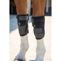Guêtres thérapeutiques pour tendons Arma Shires Noir