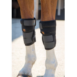 Guêtres thérapeutiques pour tendons Arma Shires Noir Guêtres thérapeutiques pour tendons Arma Shires Noir