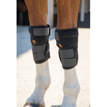 Guêtres thérapeutiques pour tendons Arma Shires Noir Guêtres thérapeutiques pour tendons Arma Shires Noir