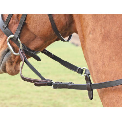 Flexi Rein® Shires Noir