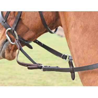 Flexi Rein® Shires Noir