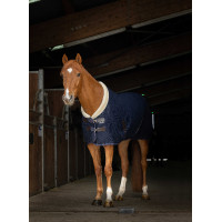 Chemise mesh Equithème Teddy Bleu marine Chemise mesh Equithème Teddy Bleu marine