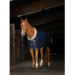 Chemise mesh Equithème Teddy Bleu marine Chemise mesh Equithème Teddy Bleu marine