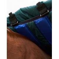 Couverture Weatherbeeta ComFiTec Dynamic Turnout 220g cou détachable Marine / vert forêt Bleu