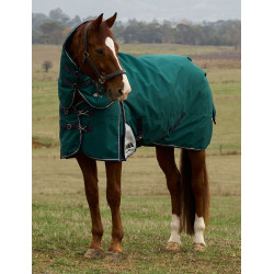 Couverture Weatherbeeta ComFiTec Dynamic Turnout 220g cou détachable Vert forêt / marine