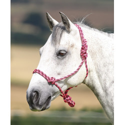Licol éthologique Shires Rose / noir