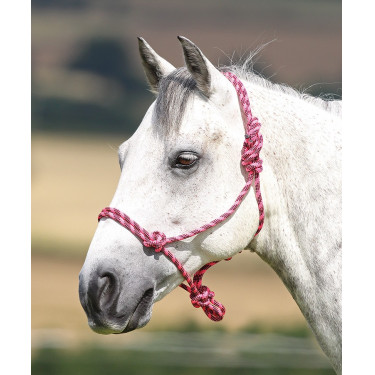 Licol éthologique Shires Rose / noir