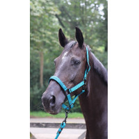 Longe d'attache Lami-Cell Charming Turquoise Bleu Longe d'attache Lami-Cell Charming Turquoise Bleu