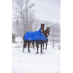 Couverture Equithème Tyrex Aisance 1200D High Neck Bleu roi Couverture Equithème Tyrex Aisance 1200D High Neck Bleu roi