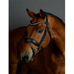Bridon de dressage Collegiate ComFiTec Opulux rembourré Noir