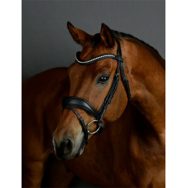 Bridon de dressage Collegiate ComFiTec Opulux rembourré Noir Bridon de dressage Collegiate ComFiTec Opulux rembourré Noir