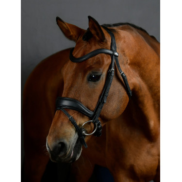 Bridon de dressage Collegiate ComFiTec Opulux rembourré Noir Bridon de dressage Collegiate ComFiTec Opulux rembourré Noir
