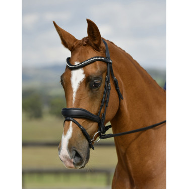 Bridon de dressage Collegiate ComFiTec Opulux rembourré Noir Bridon de dressage Collegiate ComFiTec Opulux rembourré Noir