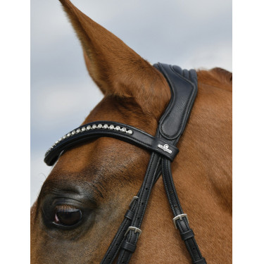 Bridon de dressage Collegiate ComFiTec Opulux rembourré Noir Bridon de dressage Collegiate ComFiTec Opulux rembourré Noir