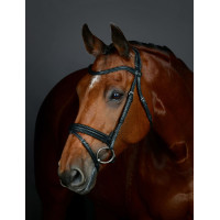 Bridon Flash hanovrien Collegiate ComFiTec Opulux Plain Padded Noir Bridon Flash hanovrien Collegiate ComFiTec Opulux Plain Padded Noir