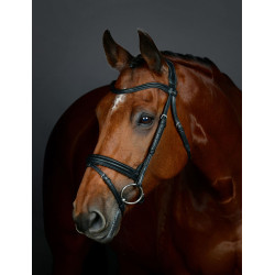 Bridon Flash hanovrien Collegiate ComFiTec Opulux Plain Padded Noir