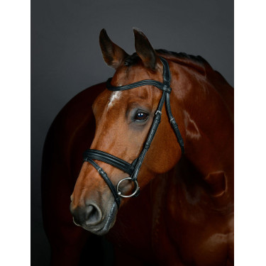 Bridon Flash hanovrien Collegiate ComFiTec Opulux Plain Padded Noir Bridon Flash hanovrien Collegiate ComFiTec Opulux Plain Padded Noir
