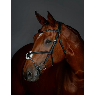 Bridon muserolle croisée Collegiate ComFiTec Opulux rembourré Noir Bridon muserolle croisée Collegiate ComFiTec Opulux rembourré Noir