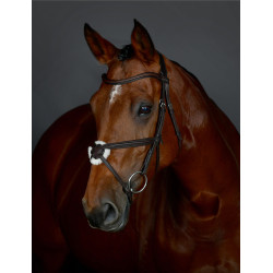 Bridon muserolle croisée Collegiate ComFiTec Opulux rembourré Marron foncé Bridon muserolle croisée Collegiate ComFiTec Opulux rembourré Marron foncé