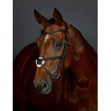Bridon muserolle croisée Collegiate ComFiTec Opulux rembourré Marron foncé Bridon muserolle croisée Collegiate ComFiTec Opulux rembourré Marron foncé