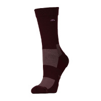 Chaussettes d'équitation Weatherbeeta Performance Crew Mûre / vin mauve Bordeaux