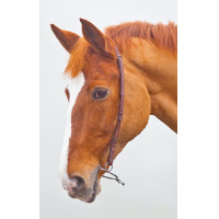 Mors chifney Blenheim Shires Havane Mors chifney Blenheim Shires Havane