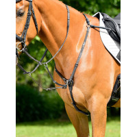 Collier de chasse Collegiate rembourré 3 points ComFiTec Opulux fixation de course Noir Collier de chasse Collegiate rembourré 3 points ComFiTec Opulux fixation de course Noir