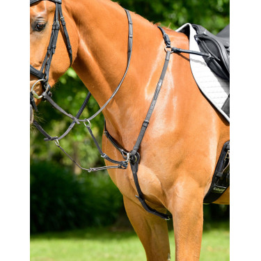 Collier de chasse Collegiate rembourré 3 points ComFiTec Opulux fixation de course Noir Collier de chasse Collegiate rembourré 3 points ComFiTec Opulux fixation de course Noir