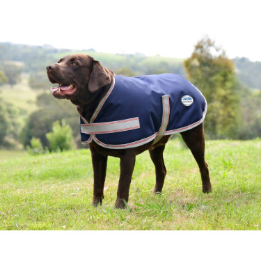 Couverture chien Weatherbeeta ComFiTec Essential Marine / argent / rouge Bleu Couverture chien Weatherbeeta ComFiTec Essential Marine / argent / rouge Bleu
