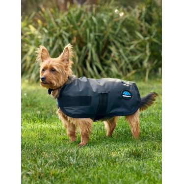Couverture imperméable pour chien Weatherbeeta ComFiTec Classic Charbon de bois Gris Couverture imperméable pour chien Weatherbeeta ComFiTec Classic Charbon de bois Gris