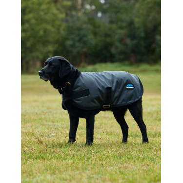 Couverture imperméable pour chien Weatherbeeta ComFiTec Classic Charbon de bois Gris Couverture imperméable pour chien Weatherbeeta ComFiTec Classic Charbon de bois Gris