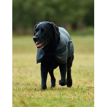 Couverture imperméable pour chien Weatherbeeta ComFiTec Classic Charbon de bois Gris Couverture imperméable pour chien Weatherbeeta ComFiTec Classic Charbon de bois Gris