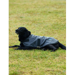 Couverture imperméable pour chien Weatherbeeta ComFiTec Classic Charbon de bois Gris Couverture imperméable pour chien Weatherbeeta ComFiTec Classic Charbon de bois Gris