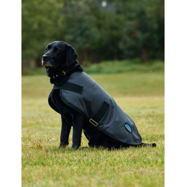 Couverture imperméable pour chien Weatherbeeta ComFiTec Classic Charbon de bois Gris Couverture imperméable pour chien Weatherbeeta ComFiTec Classic Charbon de bois Gris