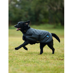 Couverture imperméable pour chien Weatherbeeta ComFiTec Classic Charbon de bois Gris Couverture imperméable pour chien Weatherbeeta ComFiTec Classic Charbon de bois Gris