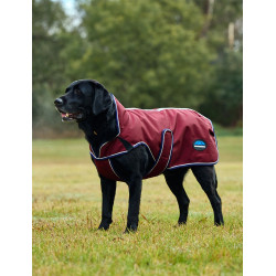 Couverture imperméable Weatherbeeta chien ComFiTec Premier Deluxe Bourgogne / marine