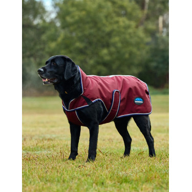 Couverture imperméable Weatherbeeta chien ComFiTec Premier Deluxe Bourgogne / marine Couverture imperméable Weatherbeeta chien ComFiTec Premier Deluxe Bourgogne / marine