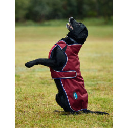 Couverture imperméable Weatherbeeta chien ComFiTec Premier Deluxe Bourgogne / marine Couverture imperméable Weatherbeeta chien ComFiTec Premier Deluxe Bourgogne / marine