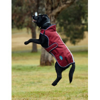 Couverture imperméable Weatherbeeta chien ComFiTec Premier Deluxe Bourgogne / marine Couverture imperméable Weatherbeeta chien ComFiTec Premier Deluxe Bourgogne / marine