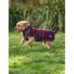 Couverture imperméable Weatherbeeta chien ComFiTec Premier Deluxe Bourgogne / marine Couverture imperméable Weatherbeeta chien ComFiTec Premier Deluxe Bourgogne / marine