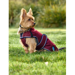 Couverture imperméable Weatherbeeta chien ComFiTec Premier Deluxe Bourgogne / marine Couverture imperméable Weatherbeeta chien ComFiTec Premier Deluxe Bourgogne / marine